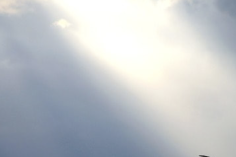 あなたは進化している✨